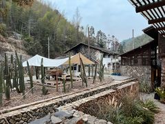 -MOJ coffee(瓯海泽雅水碓坑店)