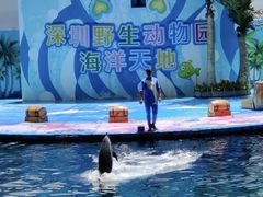 -深圳野生动物园