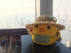-上海环球金融中心云端足球盛典