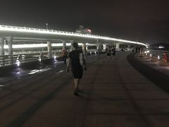 -演武大桥观景平台