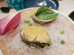 -荟廷·晶萃(陆家嘴尚悦湾店)