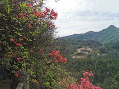 -木兰云雾山