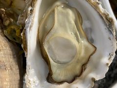 -阿勇海鲜排档2号(朱家尖店)