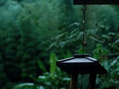 -宁波余姚老柿林山居度假村