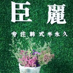 -臣丽纹眉品牌连锁
