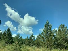 -塞罕坝国家级自然保护区