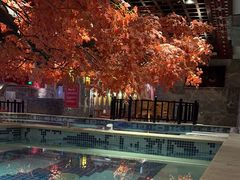 -寻梦盛唐主题水会(龙岗店)