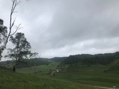 -关山草原