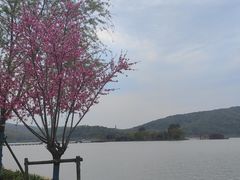 -南北湖风景区