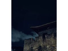 -野萃山·潮汕厚果汁(十亩地店)