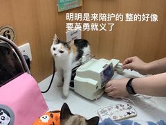 -联合动物医院(光谷诊疗中心)