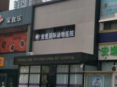 -宠爱国际动物医院· 猫科· 外科·中兽医(长白店)