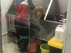 -圣宠动物医院·犬猫专科·影像中心·外科中心