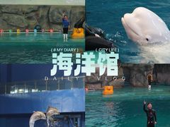 -威海华夏城景区