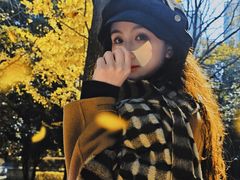 -月湖风景区