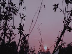 -四海公园(南山区)