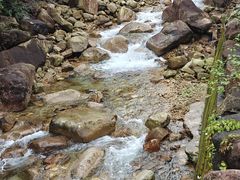 -姑婆山旅游区