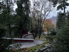 -香山公园