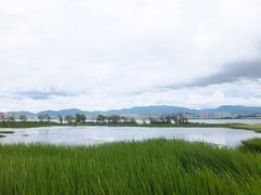 -洱海月湿地公园