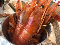 红虾-半岛听涛蒸汽海鲜自助(K11店)