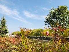 -西安汉城湖景区