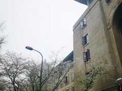 -武汉大学-樱园