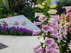 -广州市白云山风景名胜区