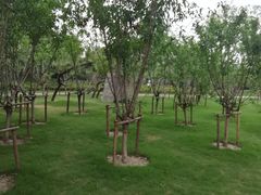 -上海市龙华烈士陵园