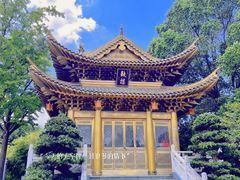 -上海东林寺(金山区)