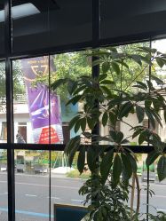 -爱儿美儿童摄影亲子馆(五路居店)