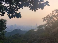 -紫金山山顶公园