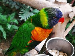 -南宫五洲植物乐园