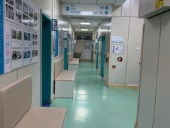 -北京观赏动物医院·24小时大型综合·猫专科·异宠专科