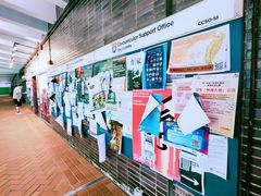 -香港大学