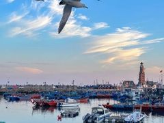 -大连老虎滩海洋公园