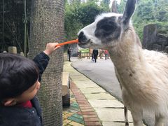 -贵州森林野生动物园