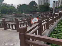 -海天湖公园