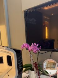 -苑苑vbeauty科技美容SPA
