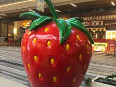 -树夏(鹭洲里店)