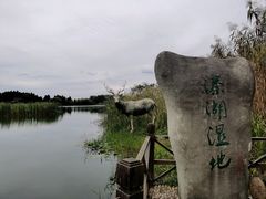 -溱湖国家湿地公园