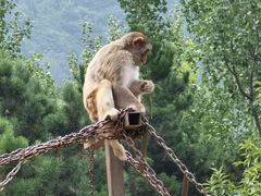 -西安秦岭野生动物园
