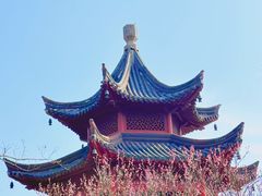 -梅花山(明孝陵内)