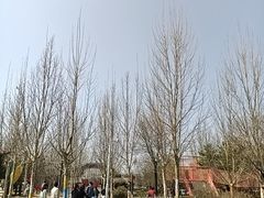 -中家鑫园温泉酒店-自助餐