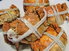 -杨氏青龙虾·羊蝎子(珠江路店)
