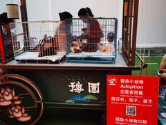 -Peet's Coffee皮爷咖啡(豫园店)