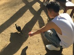 -可伦宾野生动物保护区