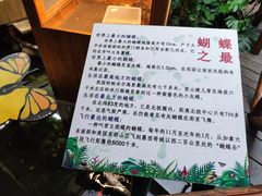 -上海大自然野生昆虫馆(东方明珠·爬宠昆虫探索中心)