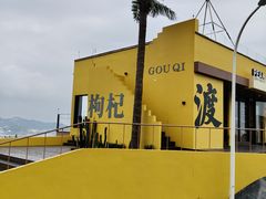 -枸杞岛