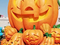 -大连海昌发现王国主题公园