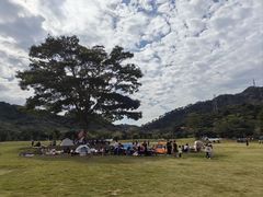 -风云岭森林公园